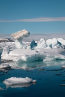 Featured Gallery - Svalbard - The High Arctic
