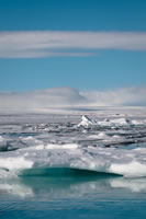 Svalbard - The High Arctic