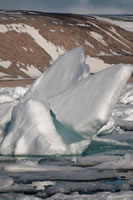 Svalbard - The High Arctic