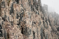 Svalbard - The High Arctic